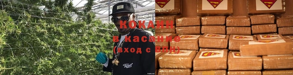 гашик Алзамай