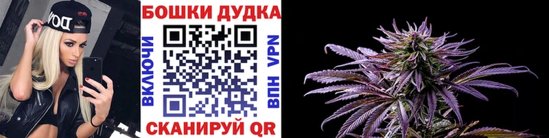 Канабис индика  купить наркотик  Александровское 